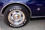 BeeLine_0105.jpg