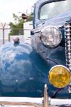 BeeLine_0036.jpg