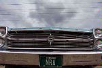 BeeLine_0411.jpg