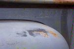 BeeLine_0439.jpg